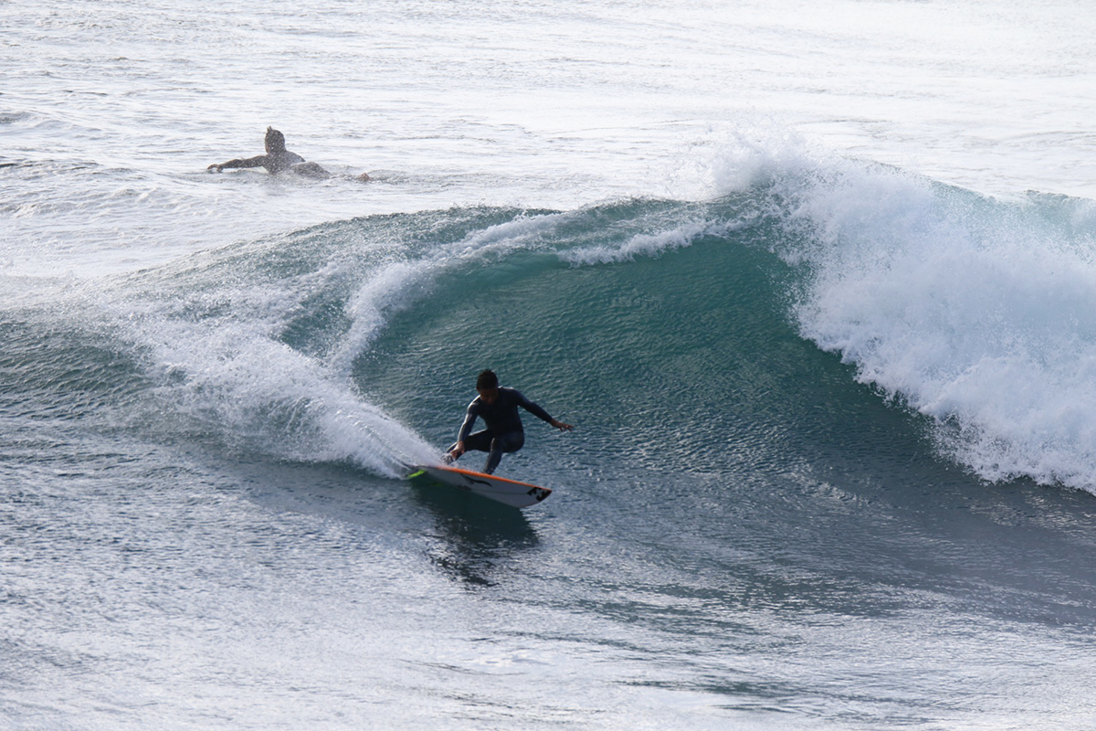 martim-fortes-carve